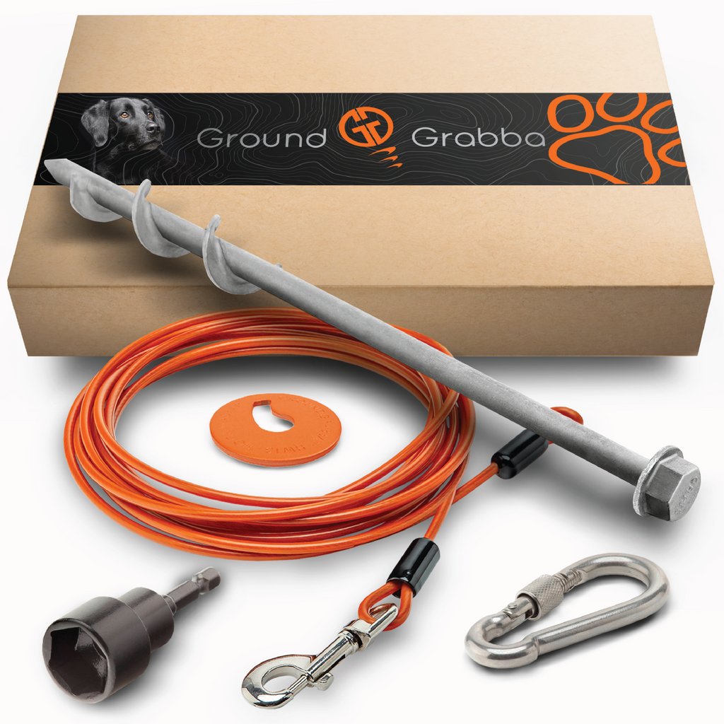 Grounded Paws Dog Tie Down Kit