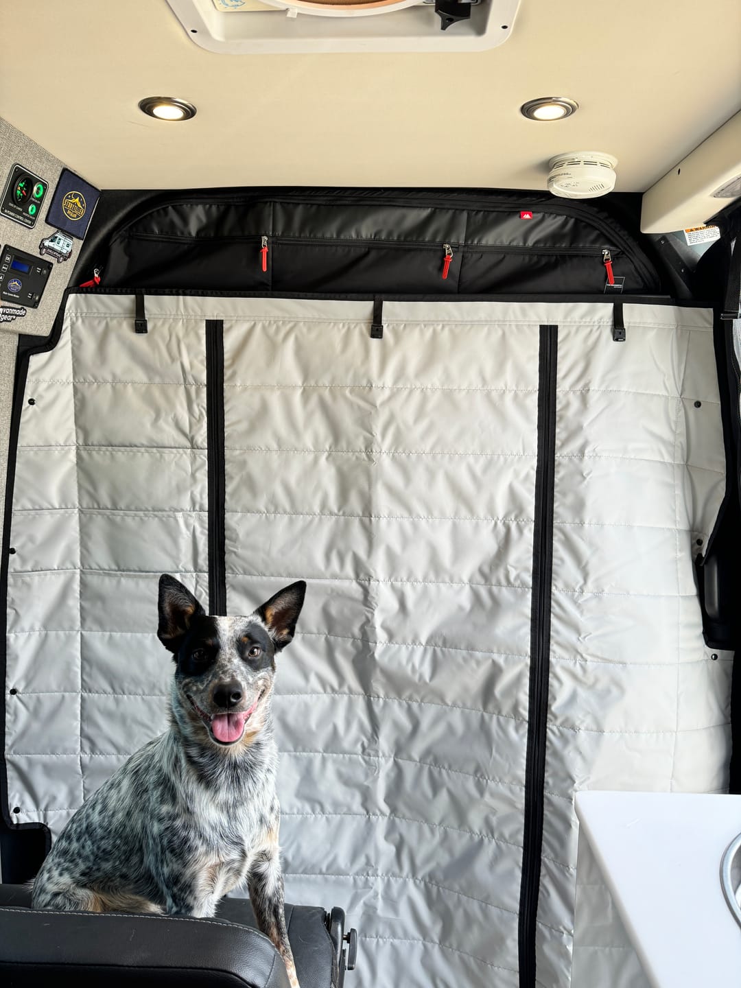 Sprinter Storyteller - Cab Partition